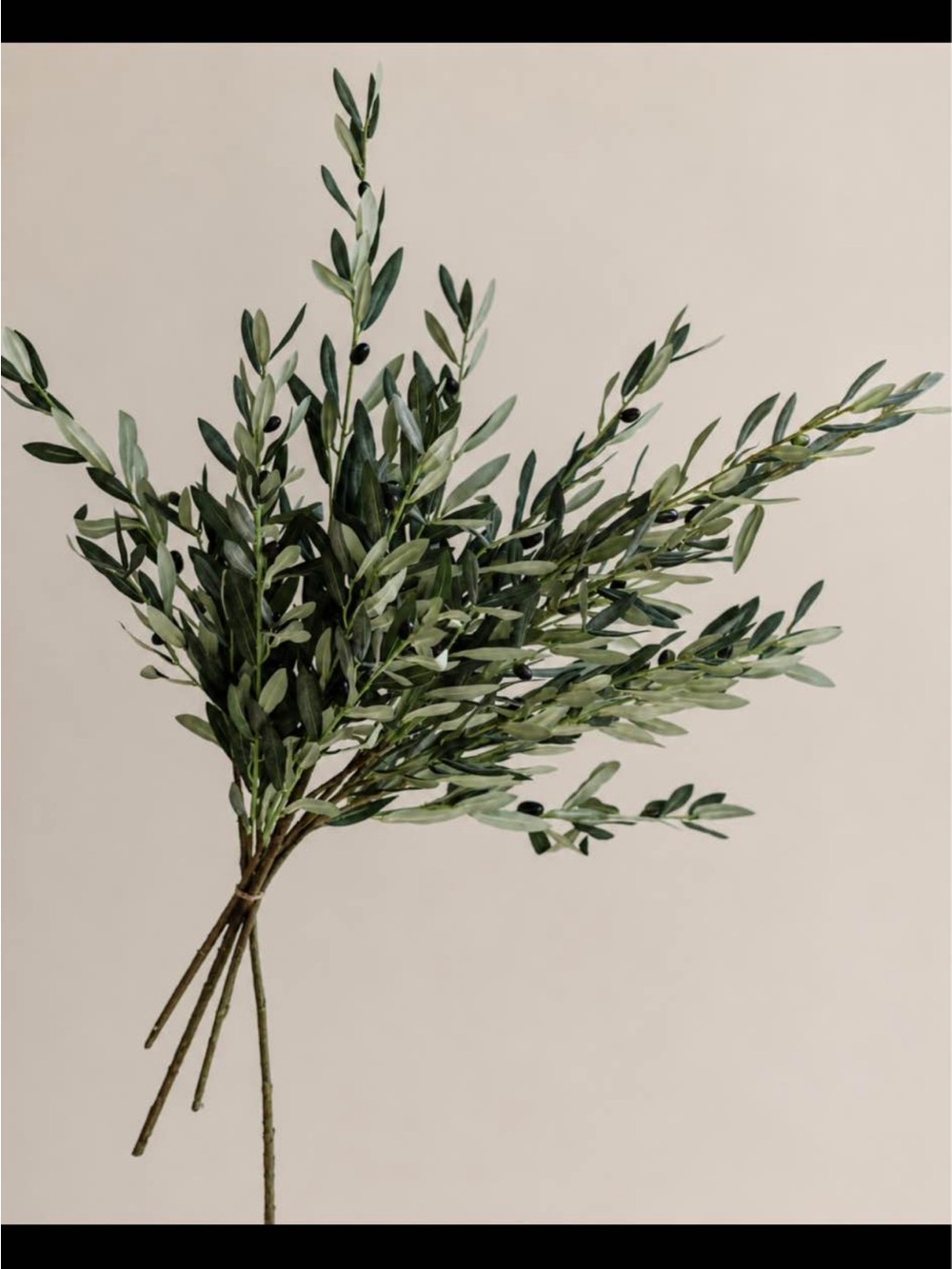 Faux Olive Branches x5